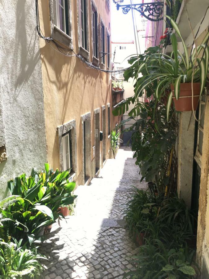 Casa Da Saudade, A Cozy Apartment In Alfama Lisboa Exterior foto